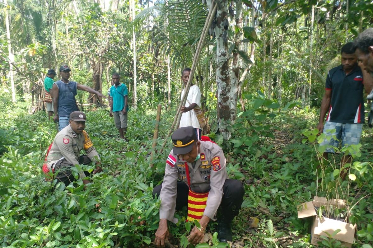 Polres Jayapura tanam 1.000 bibit pohon penghijauan secara serentak di lima lokasi