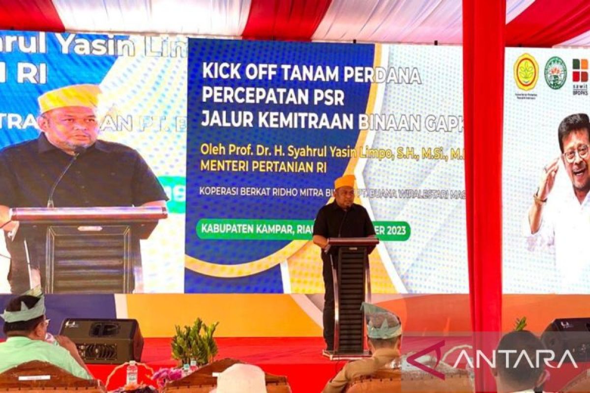 Upaya gabungan tingkatkan produktivitas petani sawit Indonesia