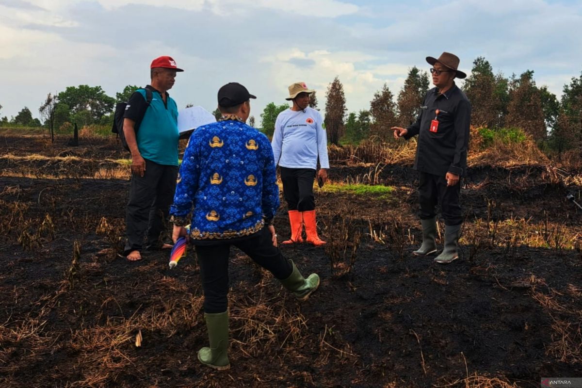 Distan Tapin siapkan saprodi bantu petani Rawit Hiyung terdampak karhutla