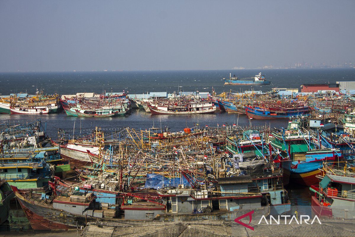 Mengoptimalkan potensi laut Indonesia lewat ekonomi biru