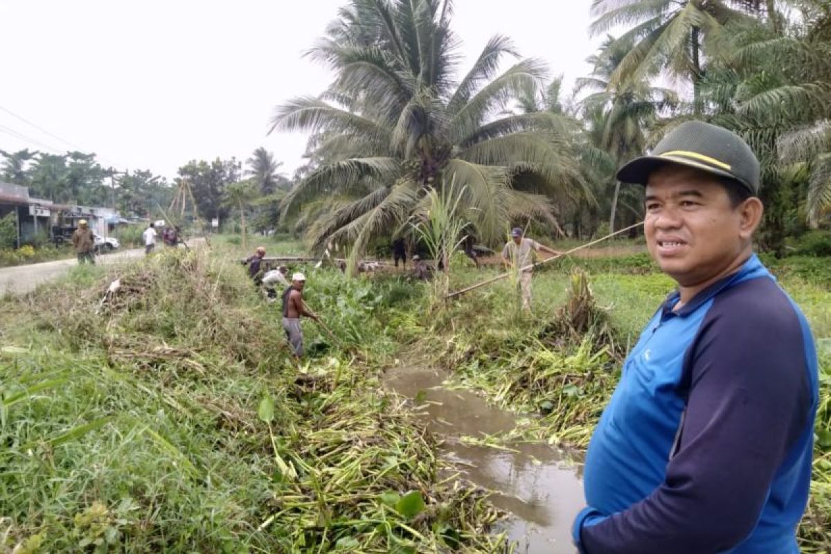 Sambut panen raya, masyarakat Kampung Masjid gotong royong