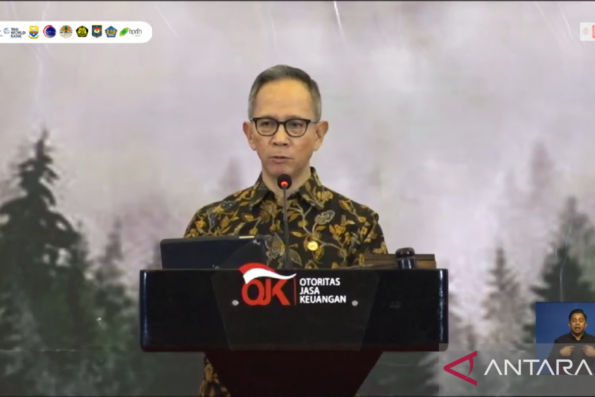 Indonesia can reduce carbon emissions nationally, globally: OJK