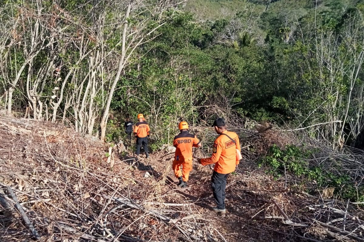 Tim SAR mencari wanita yang hilang di hutan di Buton Selatan