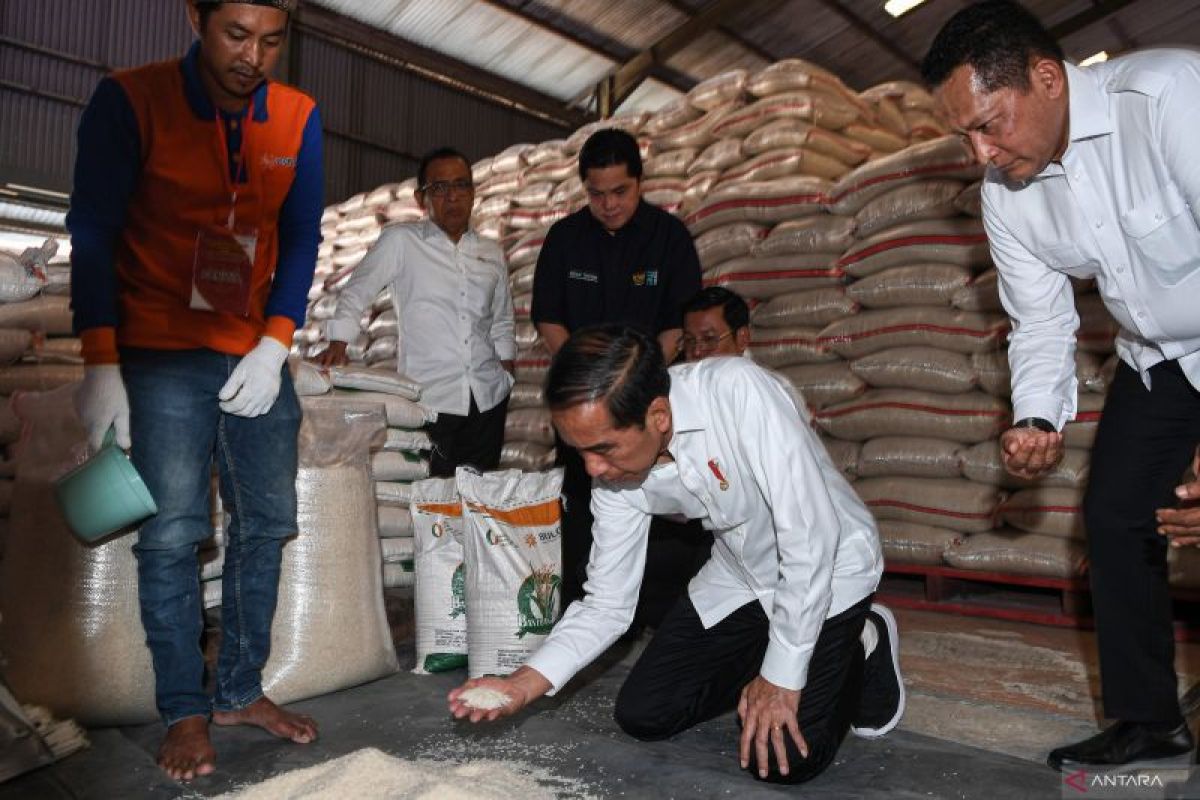 Siasat Jokowi meredam  krisis pangan dan menjaga stabilitas