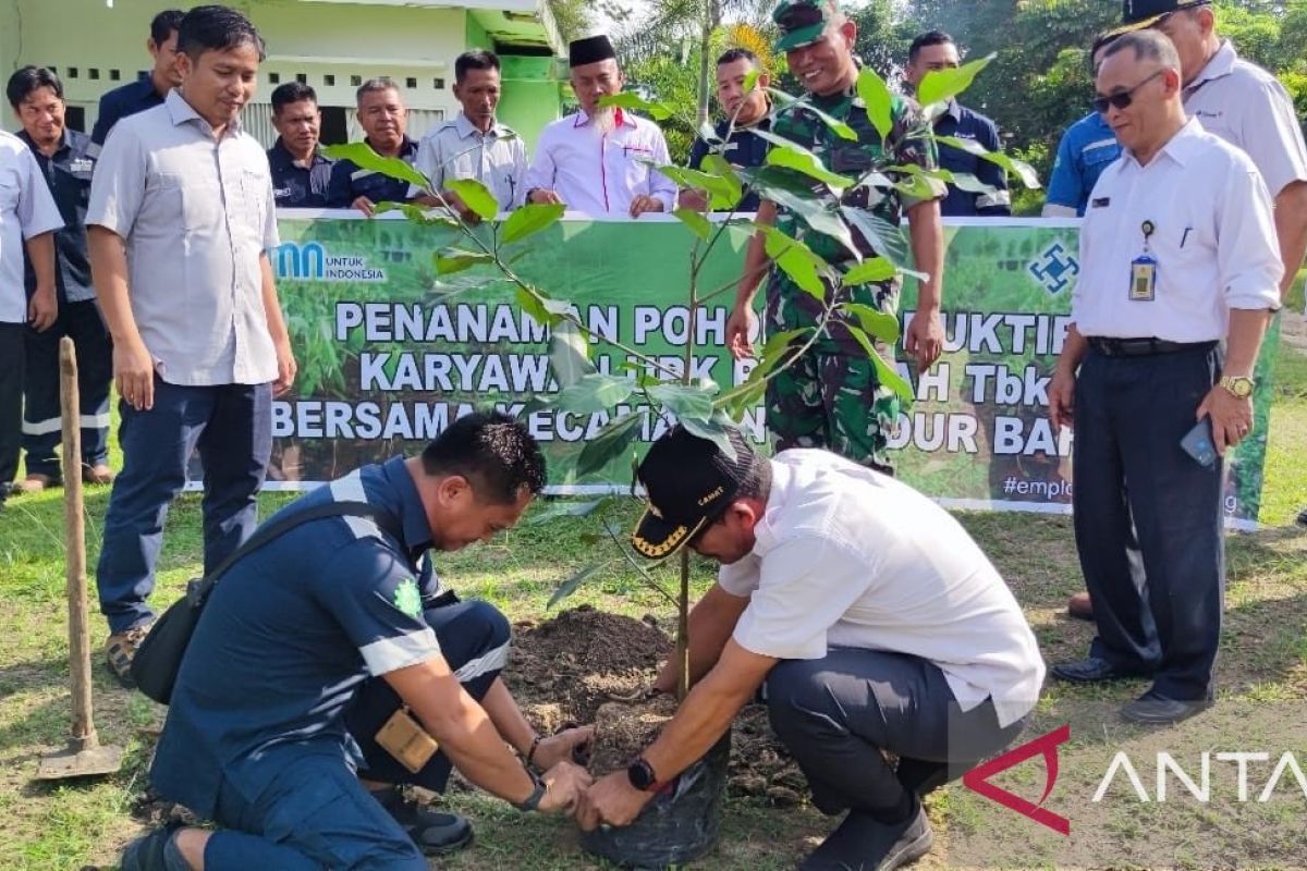 PT Timah menanam ratusan bibit pohon buah di Pulau Kundur kurangi polusi