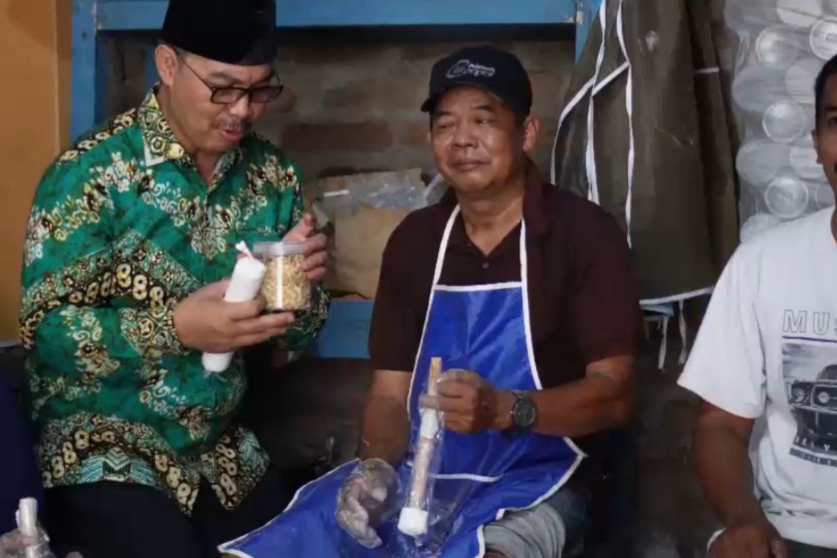 Kepala BKKBN apresiasi keripik tempe benguk produksi teman difabel