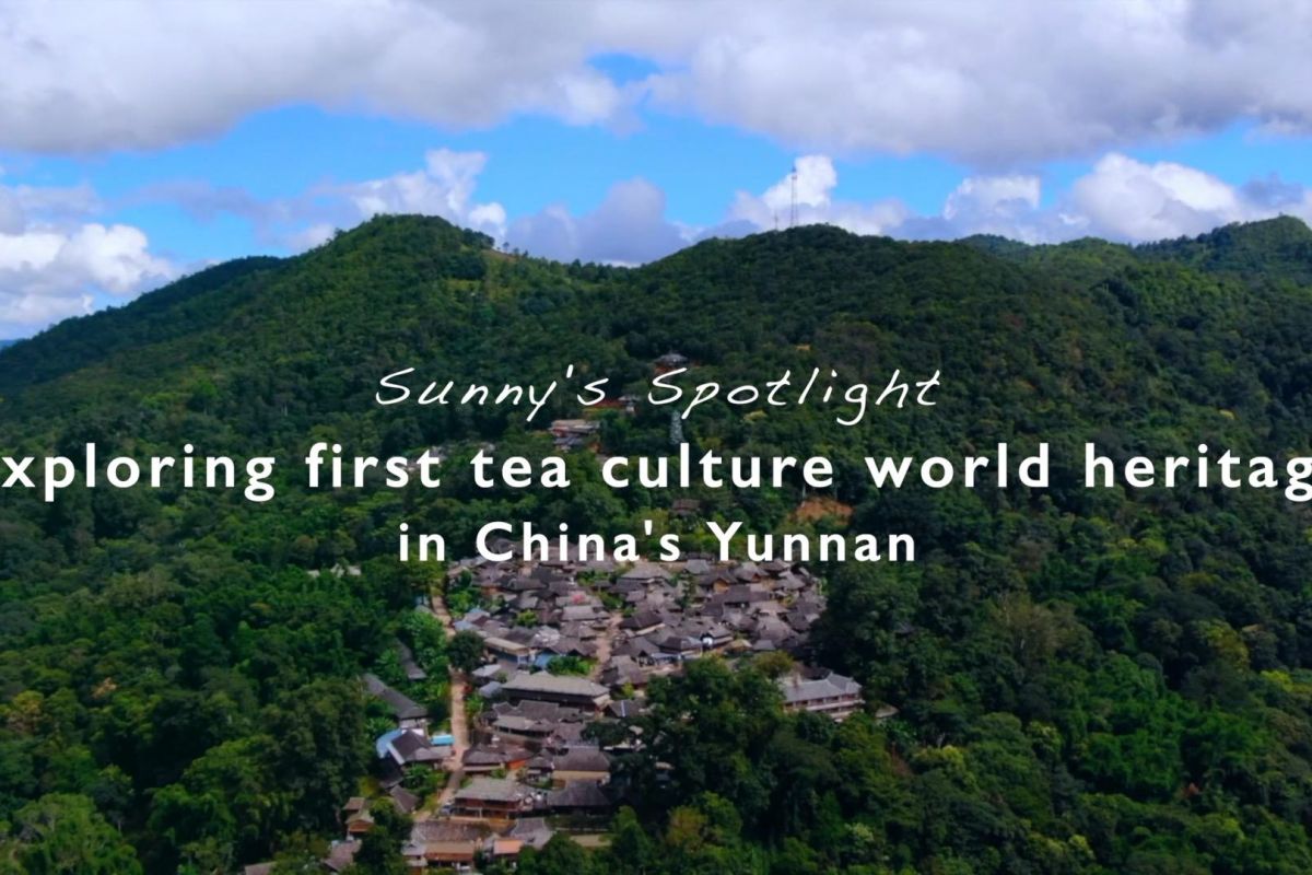 Menjelajah warisan budaya teh pertama dunia di Yunnan China