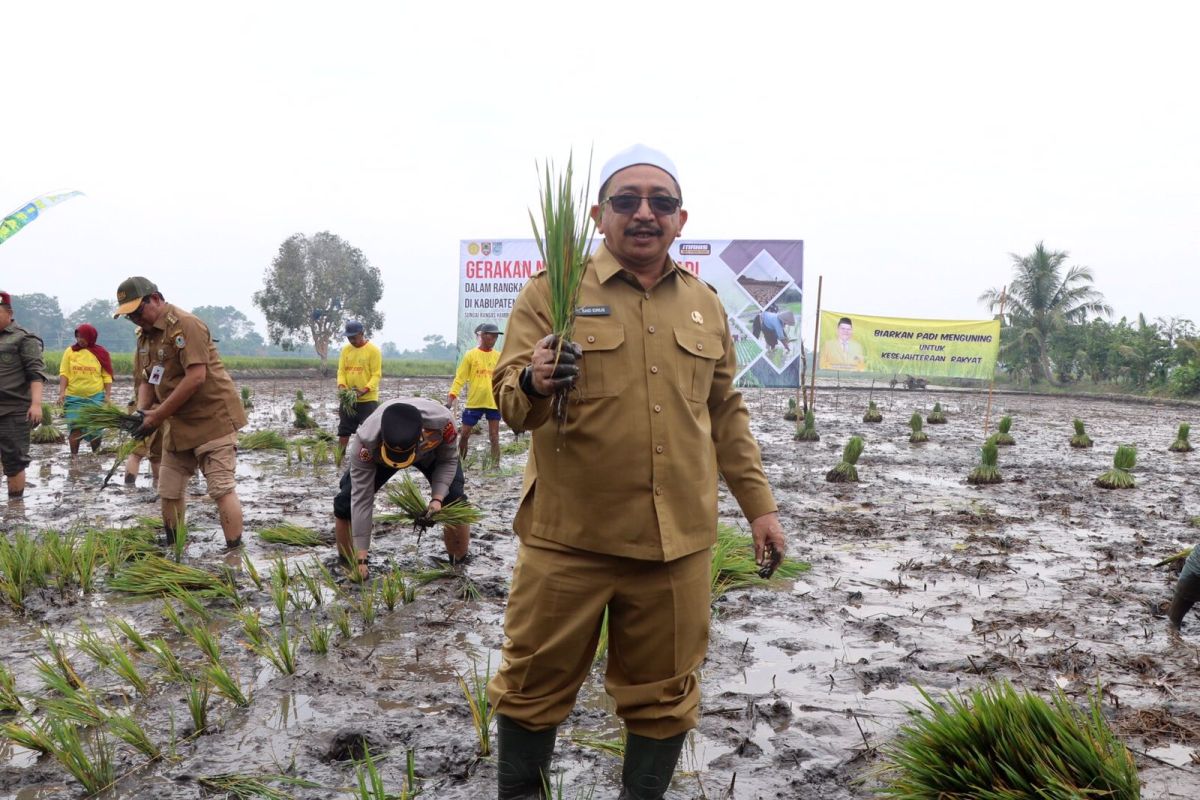 Gubernur Kalsel dan Wabup Banjar panen dan tanam padi di Martapura Barat