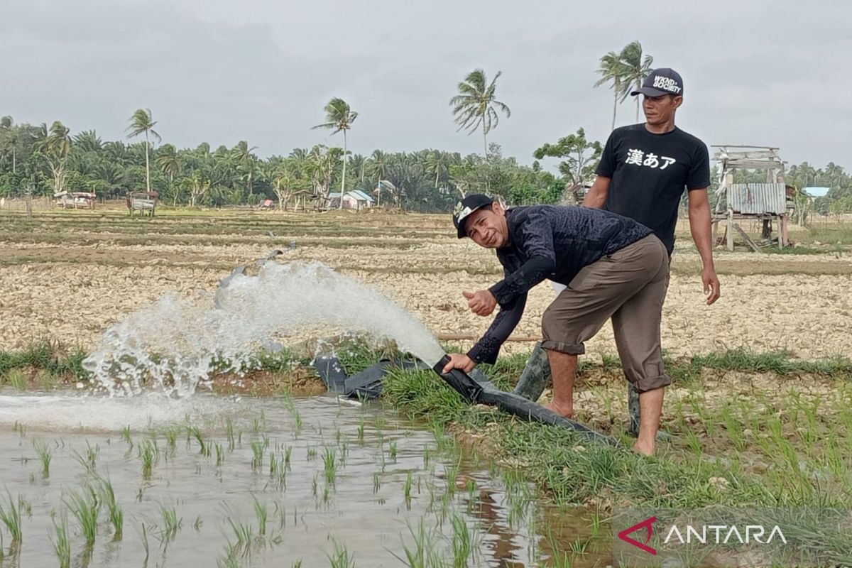 Tanggulangi kekeringan, petani Mukomuko sedot air sungai ke sawah