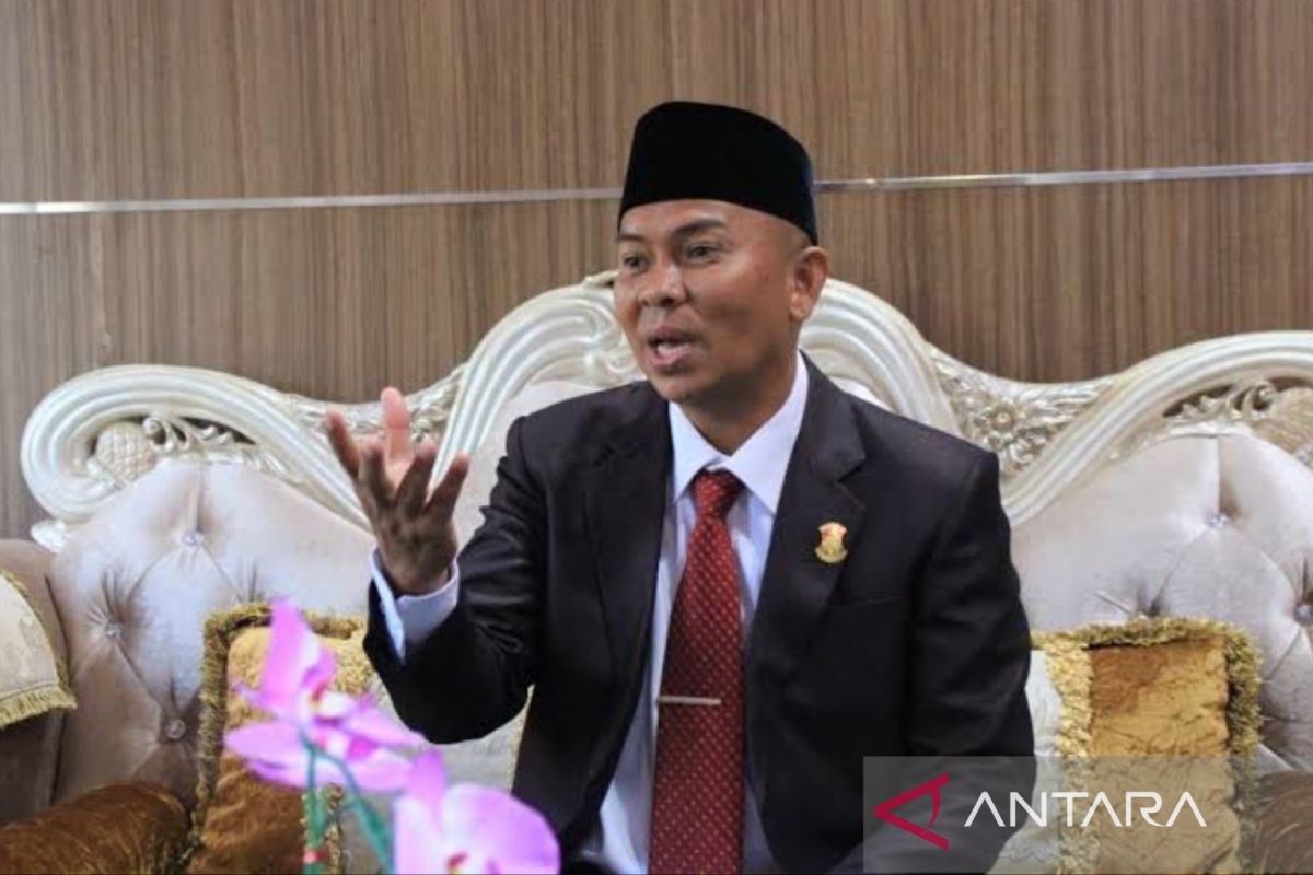 Ketua DPRD Pangkalpinang Abang Hertza ajak pemuda bangun daerah