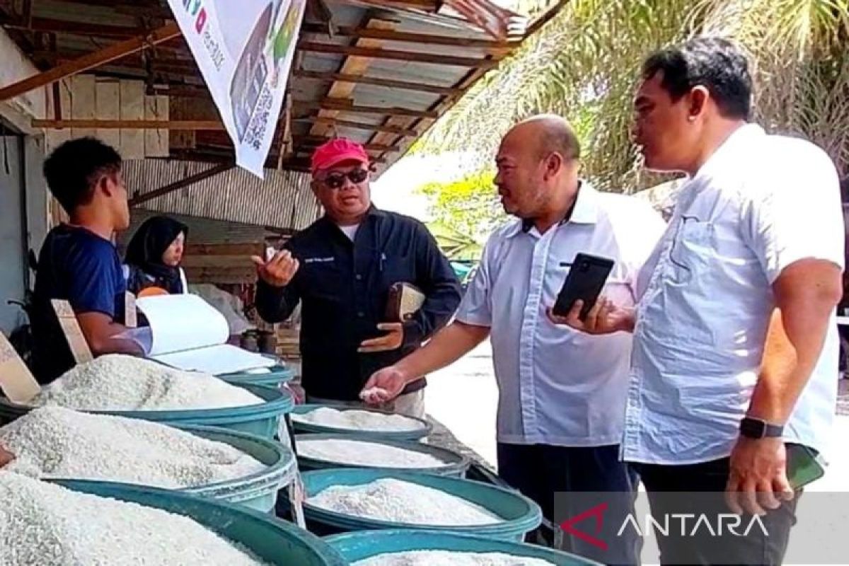 Dishanpang Kalteng minta penyaluran bantuan beras di Kotim prioritaskan empat kecamatan