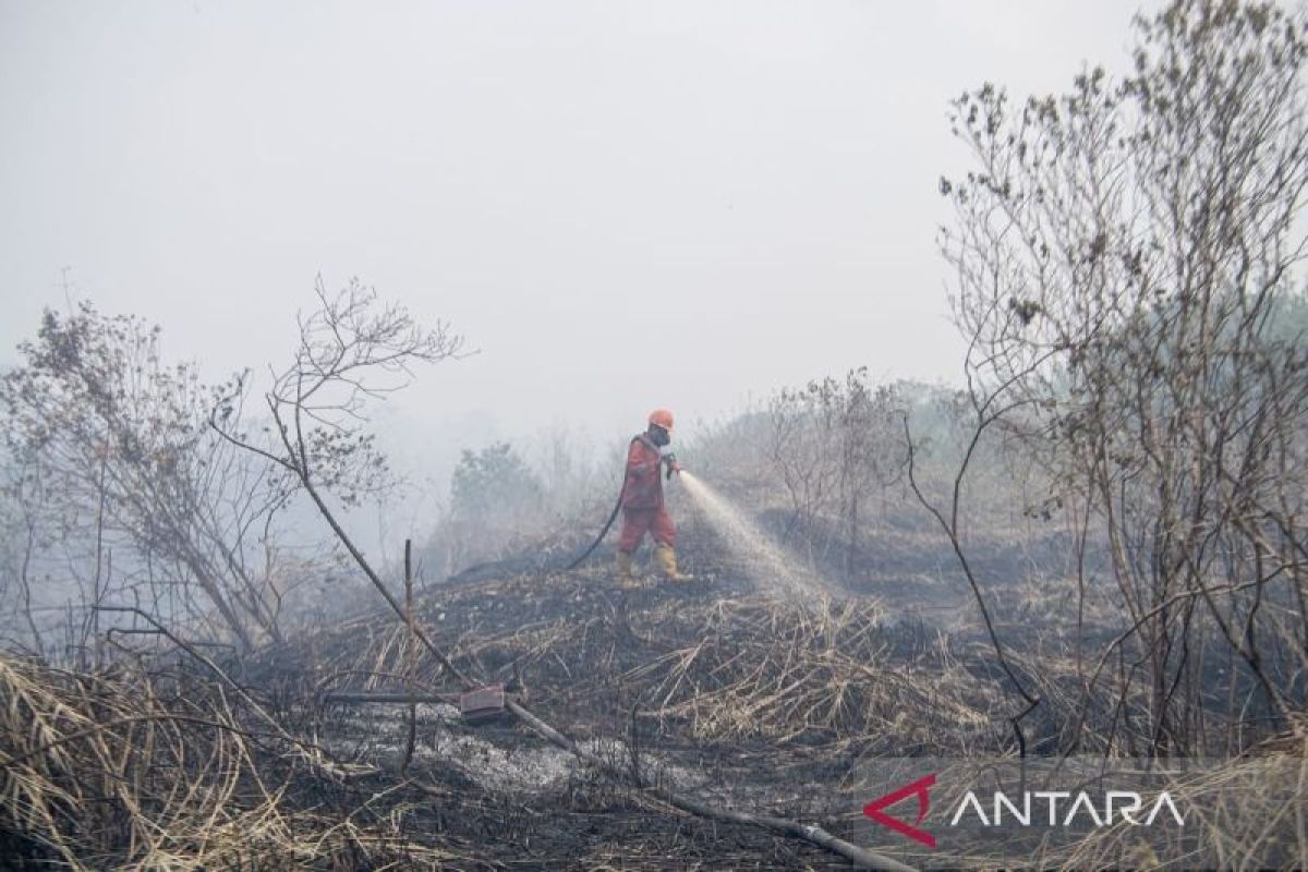 Tim Manggala Agni Jambi bantu pemadaman karhutla di Sumatera Selatan