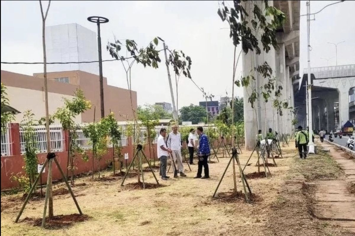 Ancol hijaukan kawasan Kelapa Gading dengan ratusan pohon