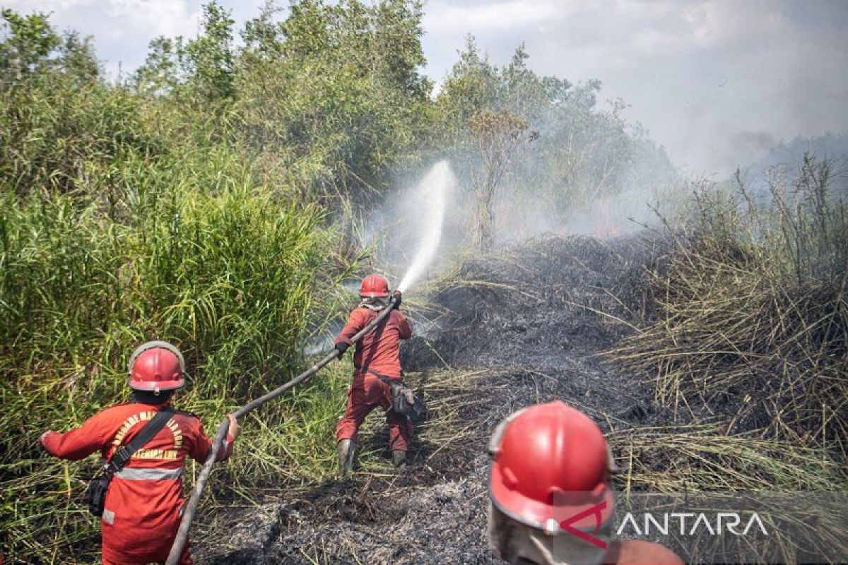 BMKG: Sejumlah wilayah berpotensi alami karhutla hingga hujan lebat