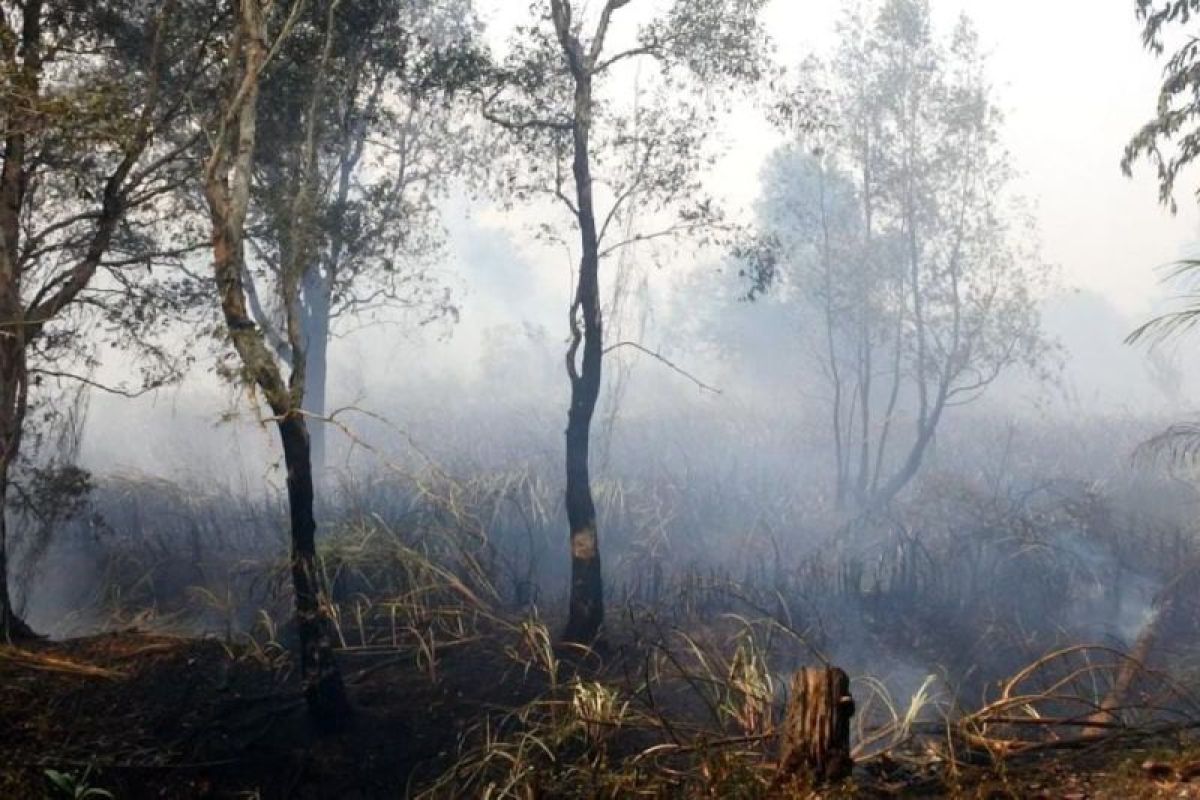 Polres Ogan Ilir telah tangani enam kasus pembakaran lahan