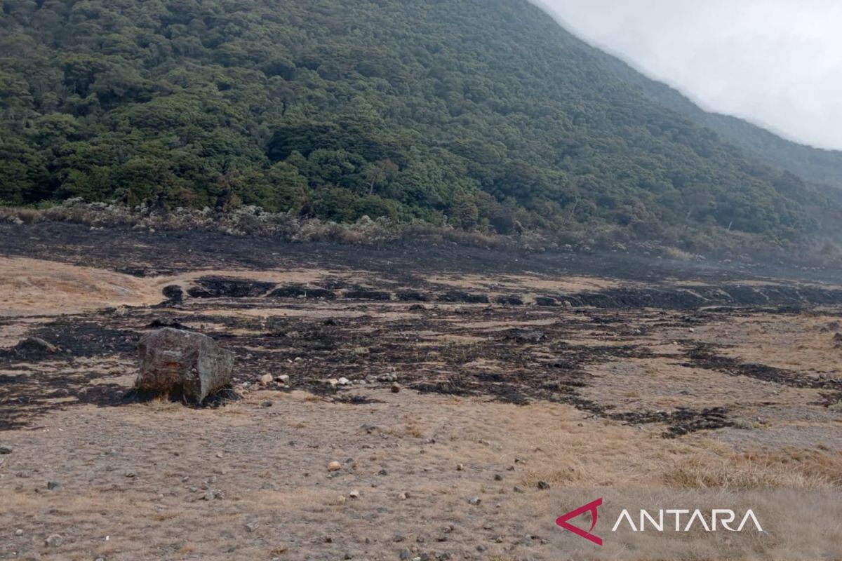 Kebakaran lahan di Gunung Gede Pangrango tercatat capai 29 ribu meter persegi