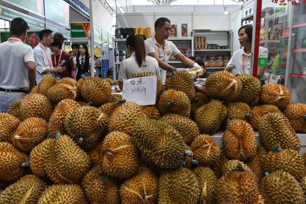 Beragam produk unggulan ASEAN pikat pengunjung China-ASEAN Expo