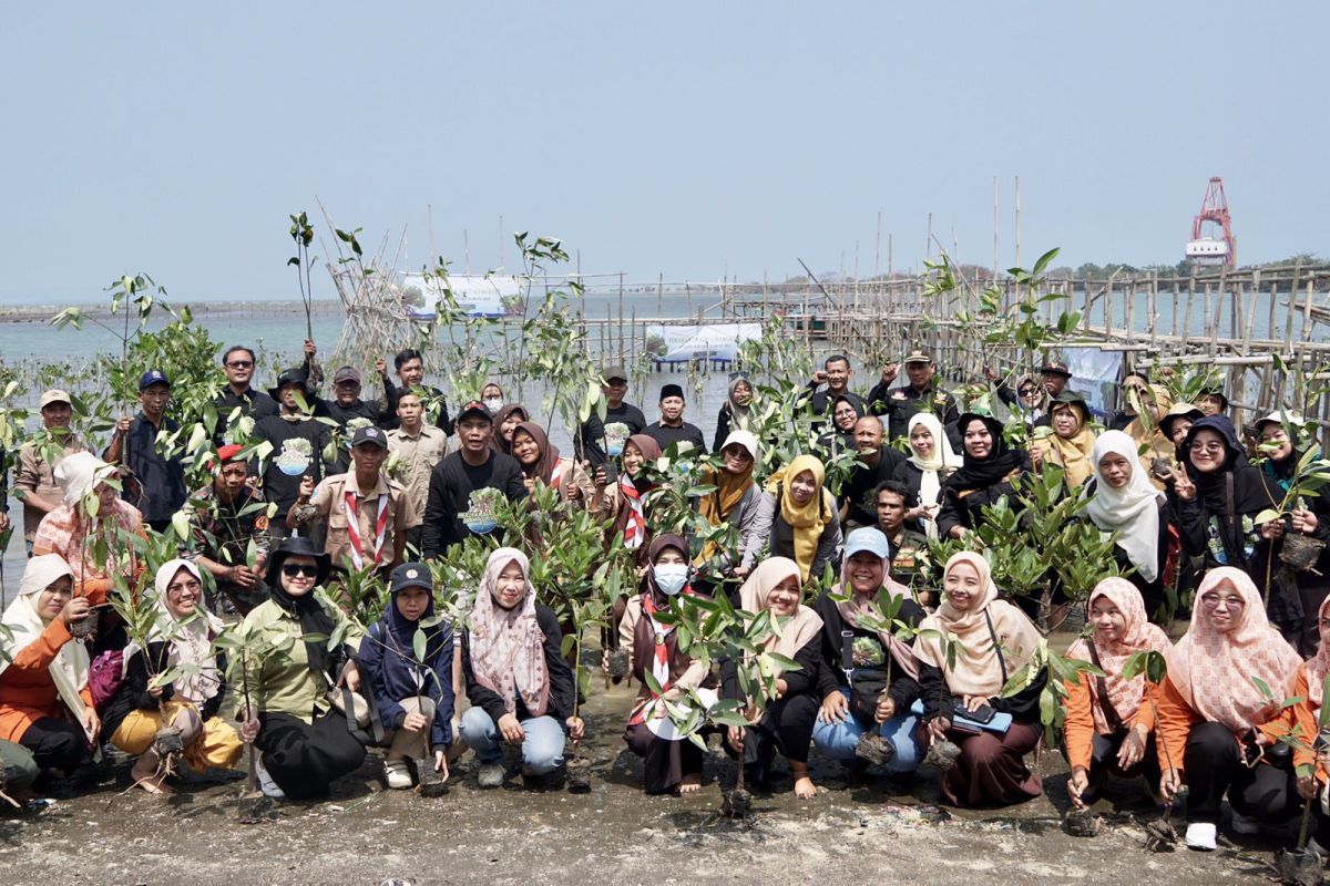 Departmen Budaya dan Lingkungan Dompet Dhuafa tanam 1.000 mangrove di pesisir Pandeglang