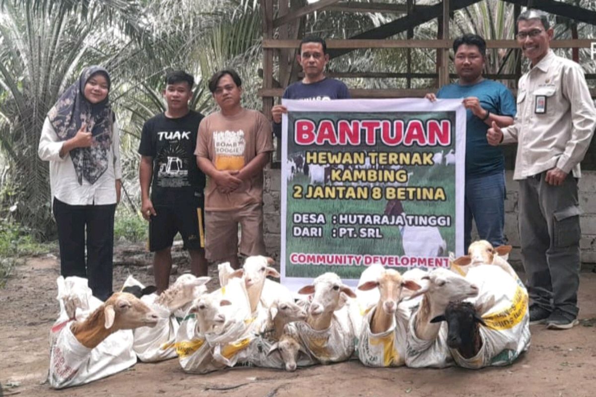 PT SRL Garingging serahkan bantuan ternak di Huragi