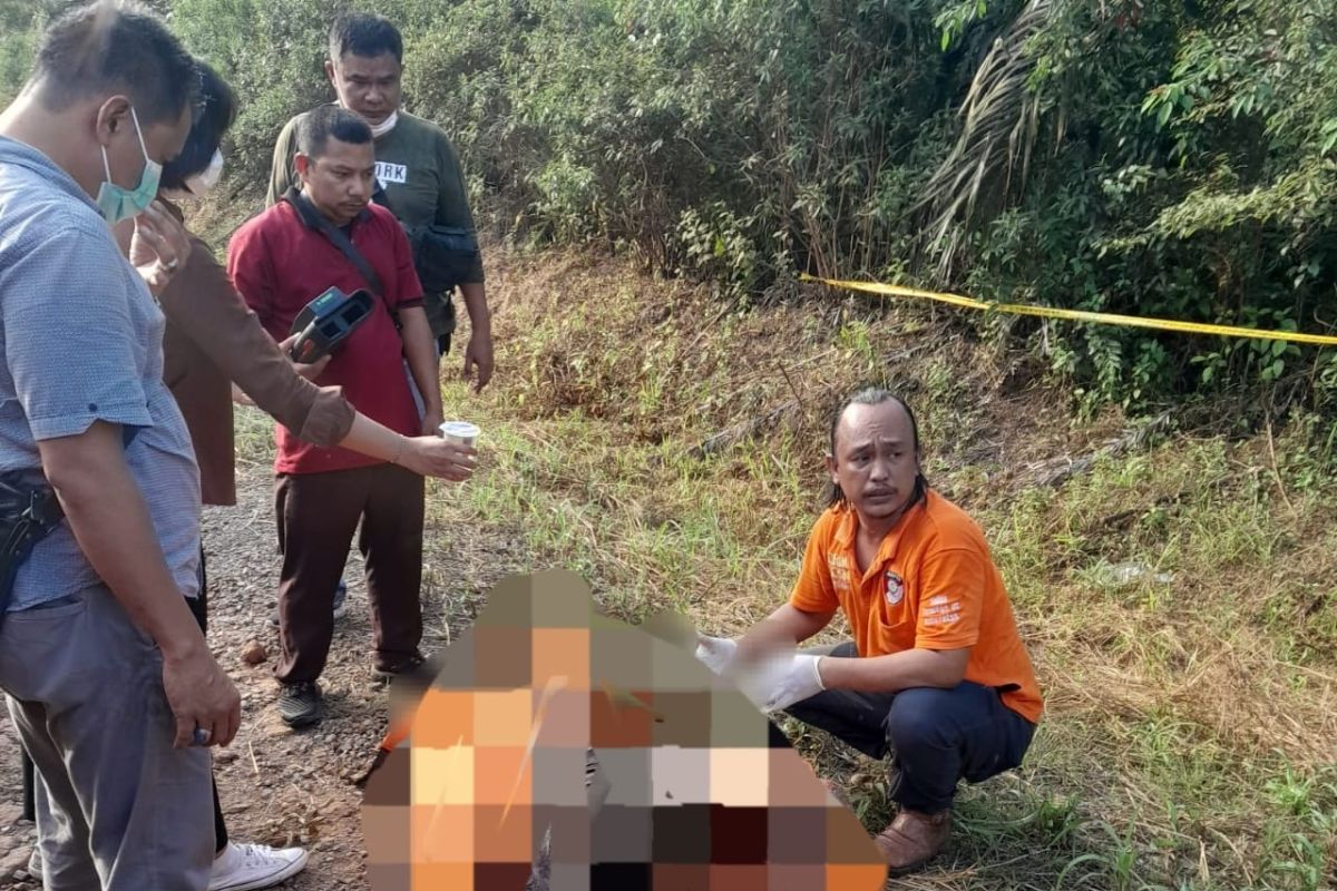 Polisi identifikasi temuan mayat di kebun sawit warga Muarojambi