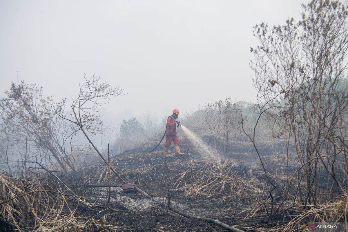 Jambi terdampak asap kebakaran hutan dan lahan di Sumatera Selatan