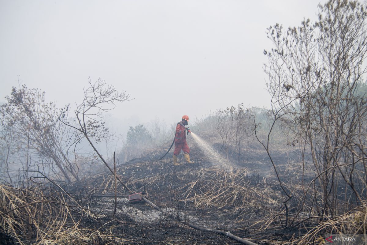 Tim Manggala Agni Jambi bantu pemadaman karhutla di Sumatera Selatan