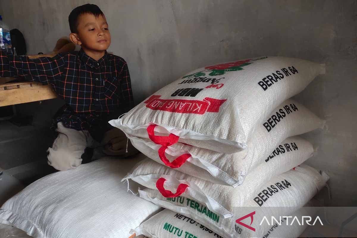 Harga beras di Aceh Timur naik jadi Rp210 ribu per sak