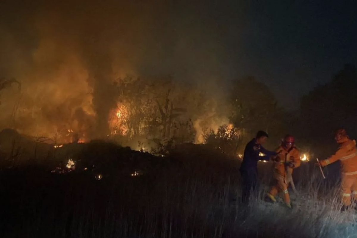 Kebakaran lahan di Bandarlampung dilaporkan capai puluhan hektare di September