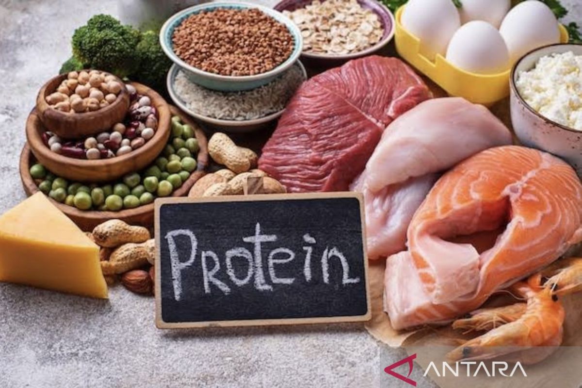 Tengok 10 manfaat konsumsi protein