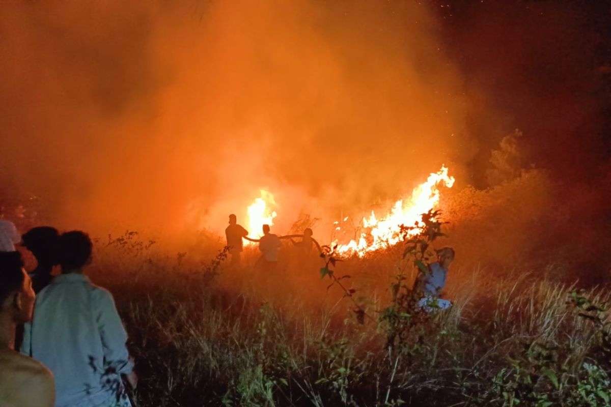 Damkar Lampung Selatan berhasil padamkan kebakaran lahan tol di KM 85