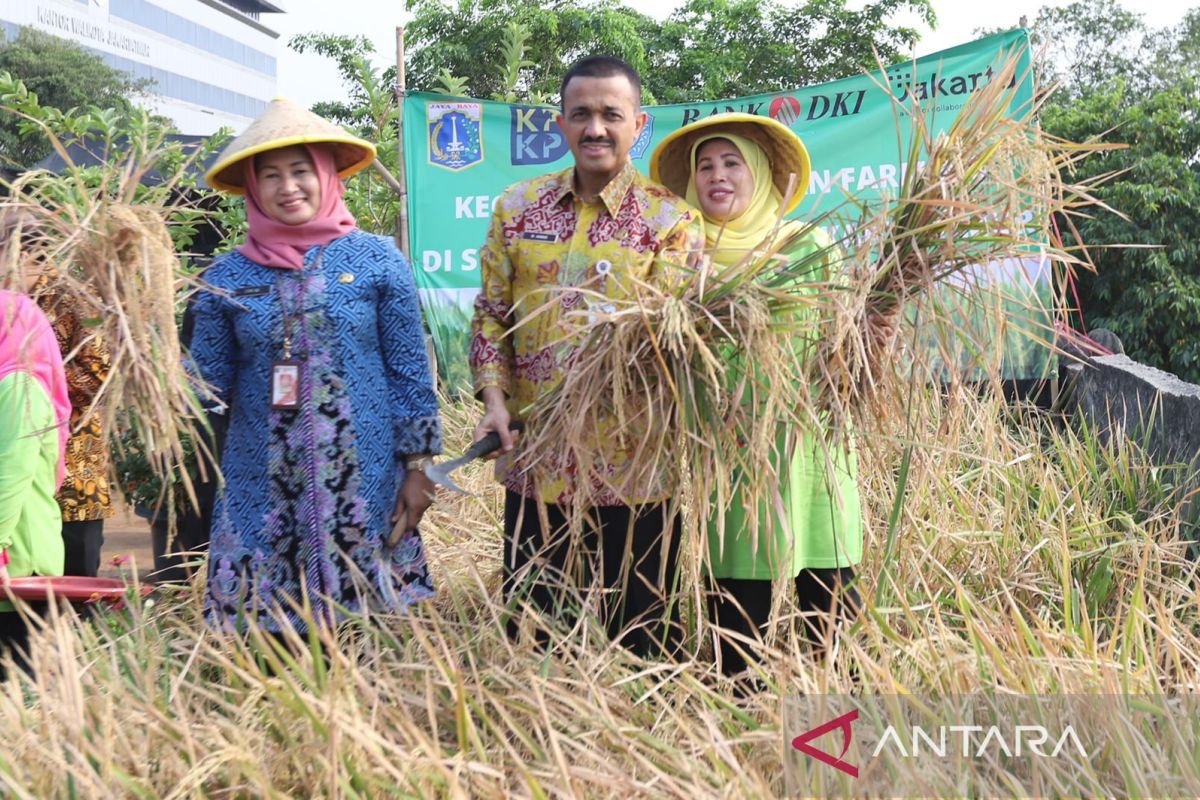 Pemkot Jaktim ajak warga manfaatkan lahan untuk 