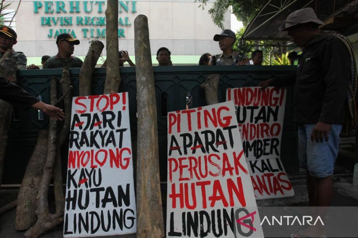 Perhutani Jatim siap tindak lanjuti temuan dugaan perusakan hutan