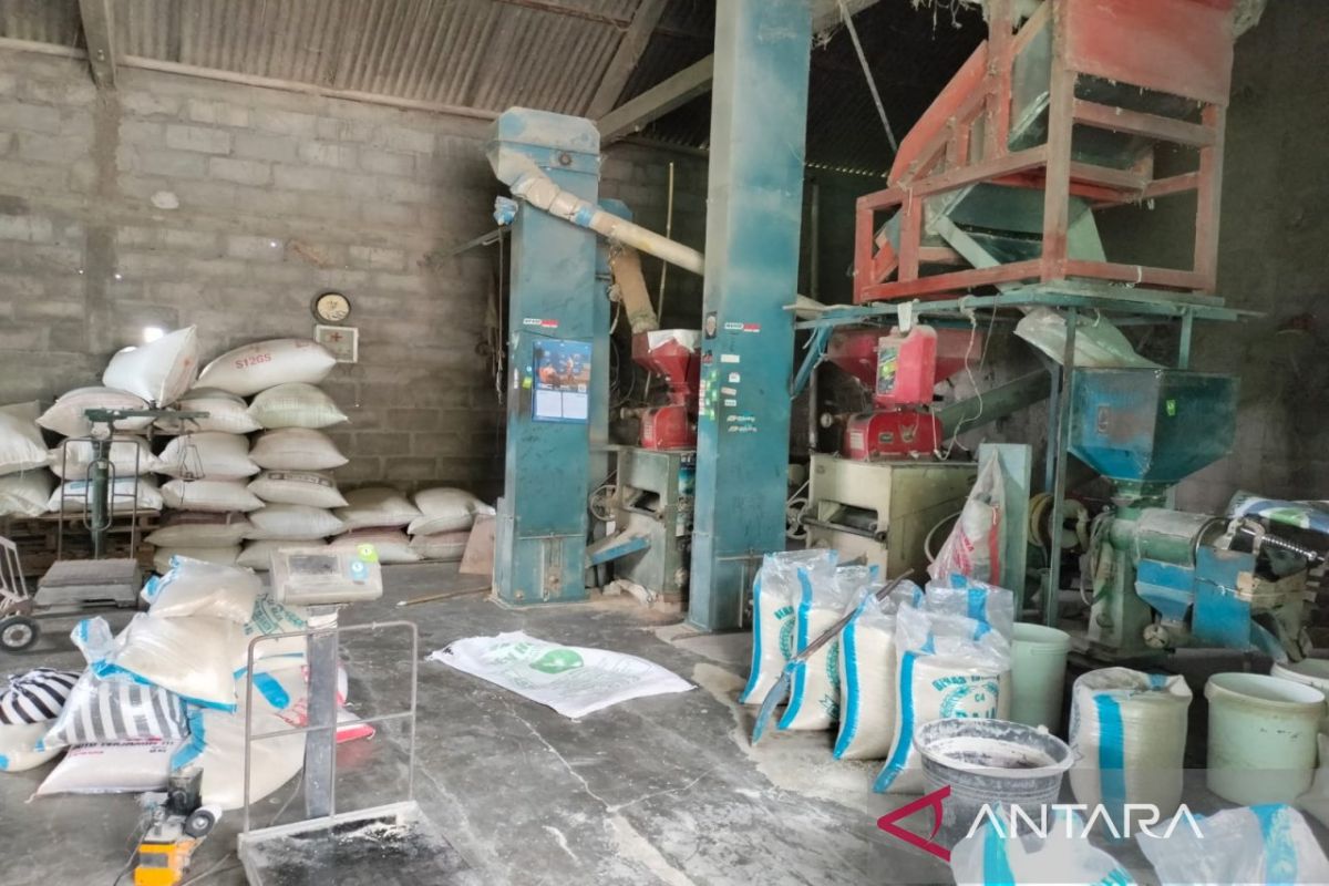 Dinas Pertanian dan Pangan: Stok gabah di penggilingan Kulon Progo aman