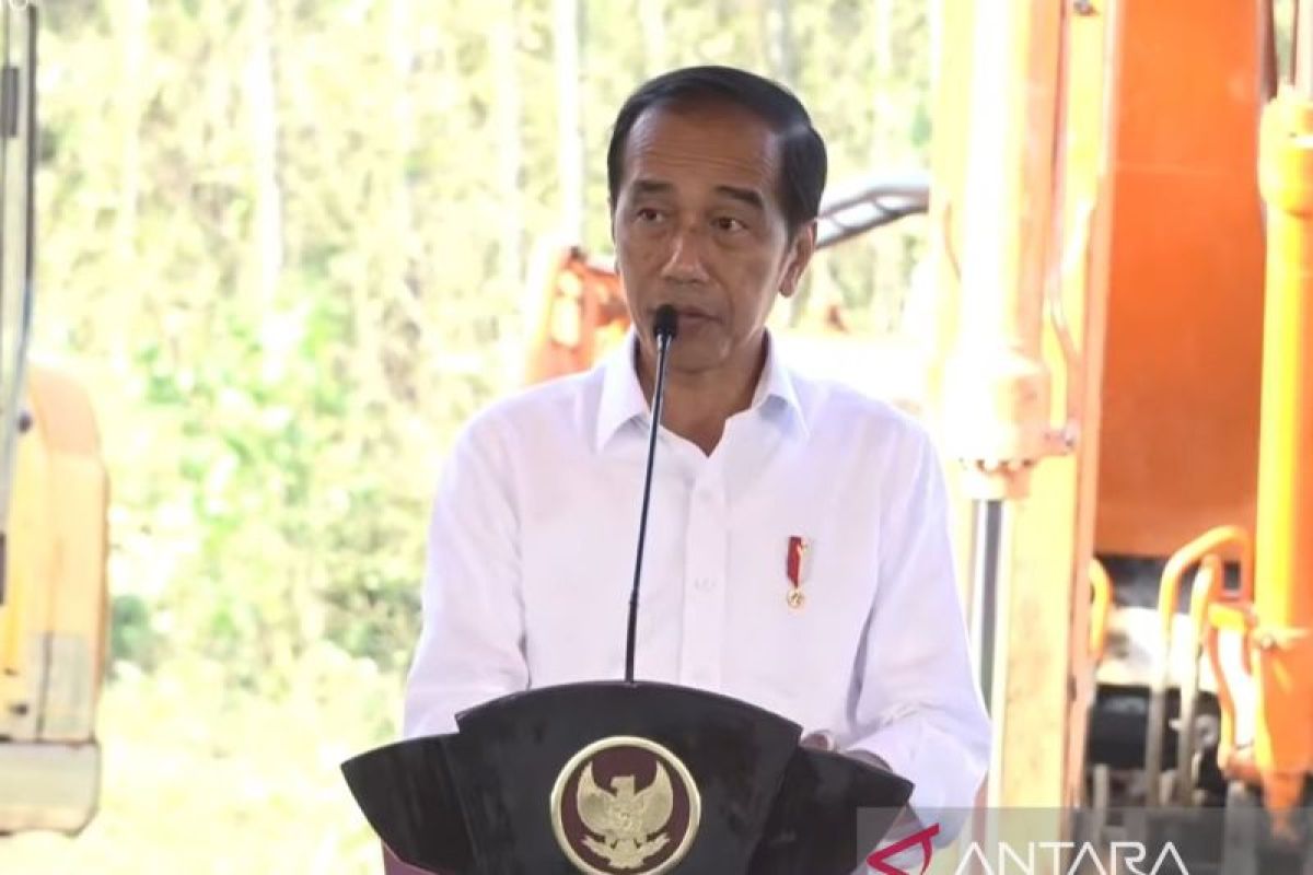 Jokowi sebut beban berat Pulau Jawa munculkan persoalan sulit diselesaikan