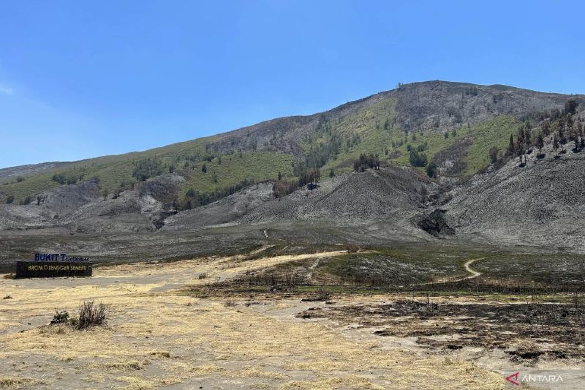 Kerugian akibat kebakaran di Bromo diperkirakan capai Rp5,4 M