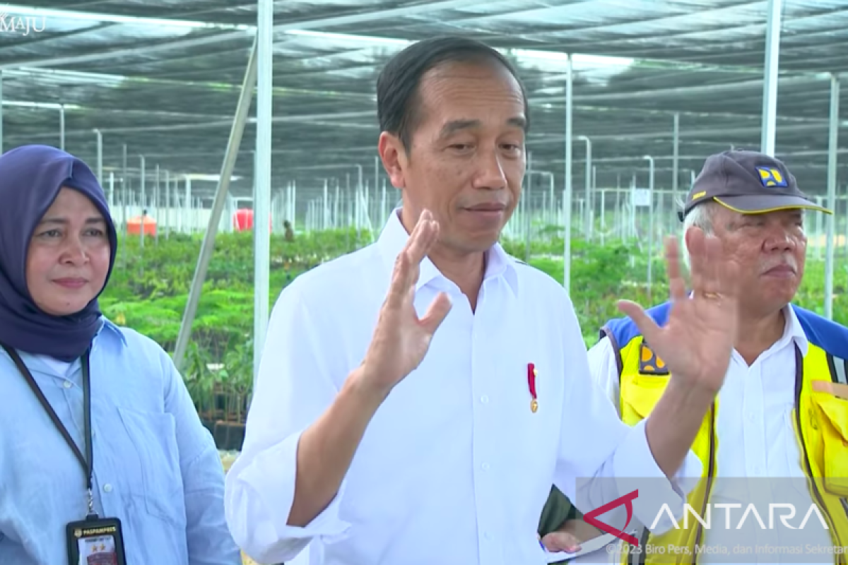 Presiden Jokowi sebut persemaian Mentawir sudah siap hijaukan IKN Nusantara