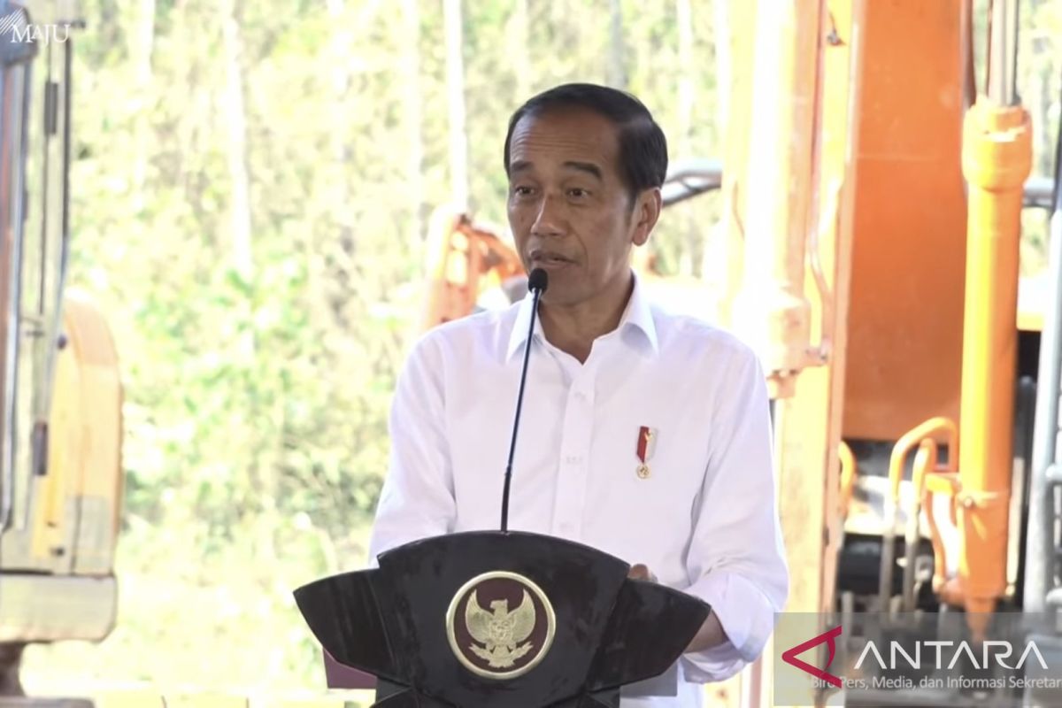 Presiden Jokowi : Investasi swasta menjadi kunci bangun IKN