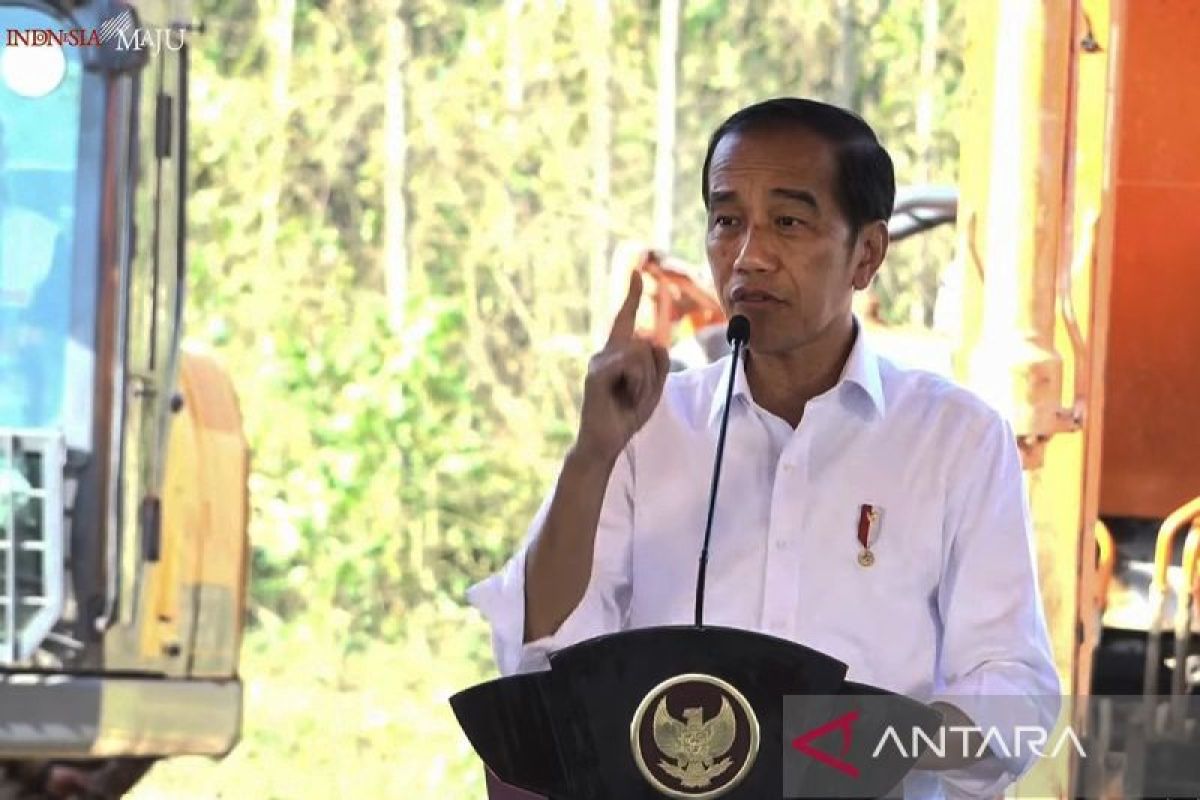 Jokowi: Investasi swasta kunci bangun IKN
