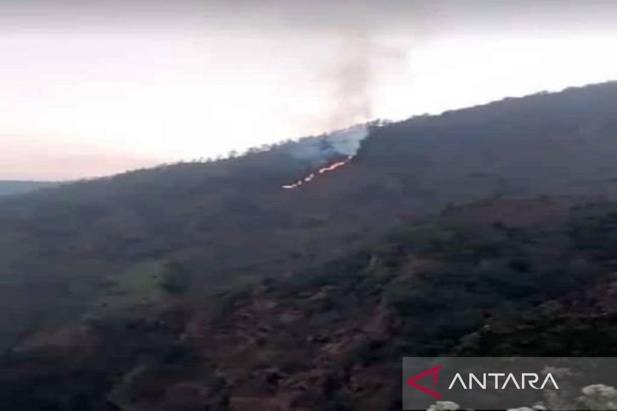 Kebakaran hutan terjadi di Lereng Gunung Merbabu Boyolali