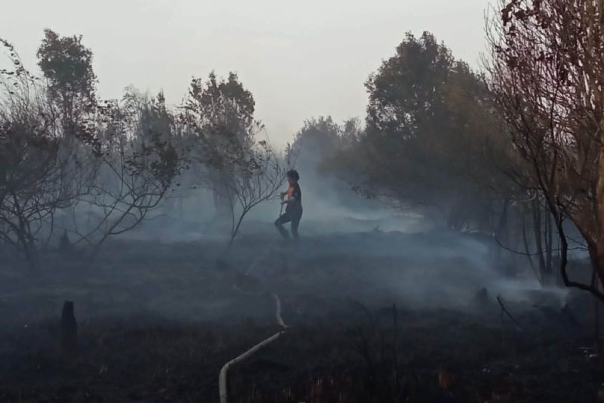 Palangka Raya tangani 206 hektare lahan gambut terbakar sejak awal Januari hingga September