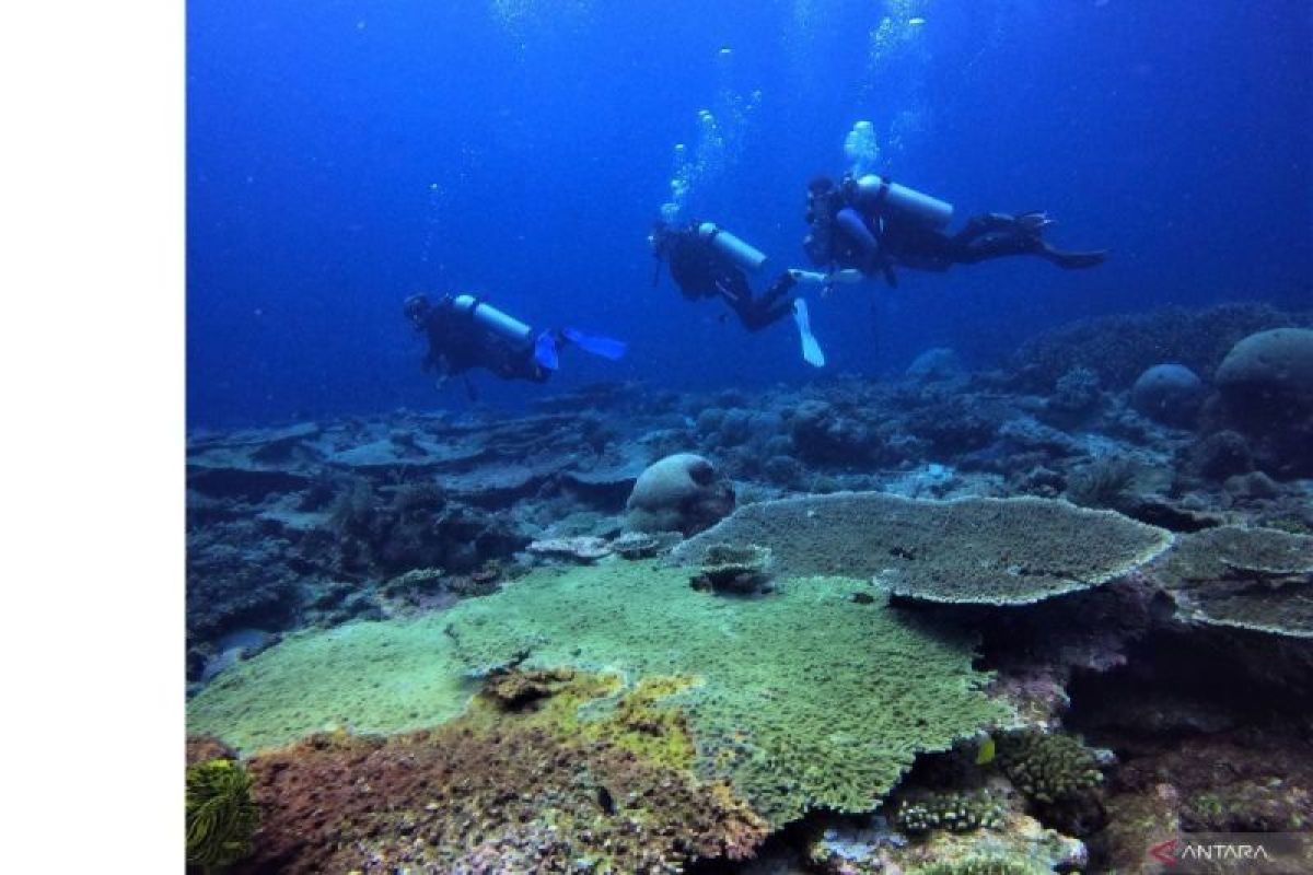 Indonesia tandatangani perjanjian pengaturan konservasi hayati di laut lepas