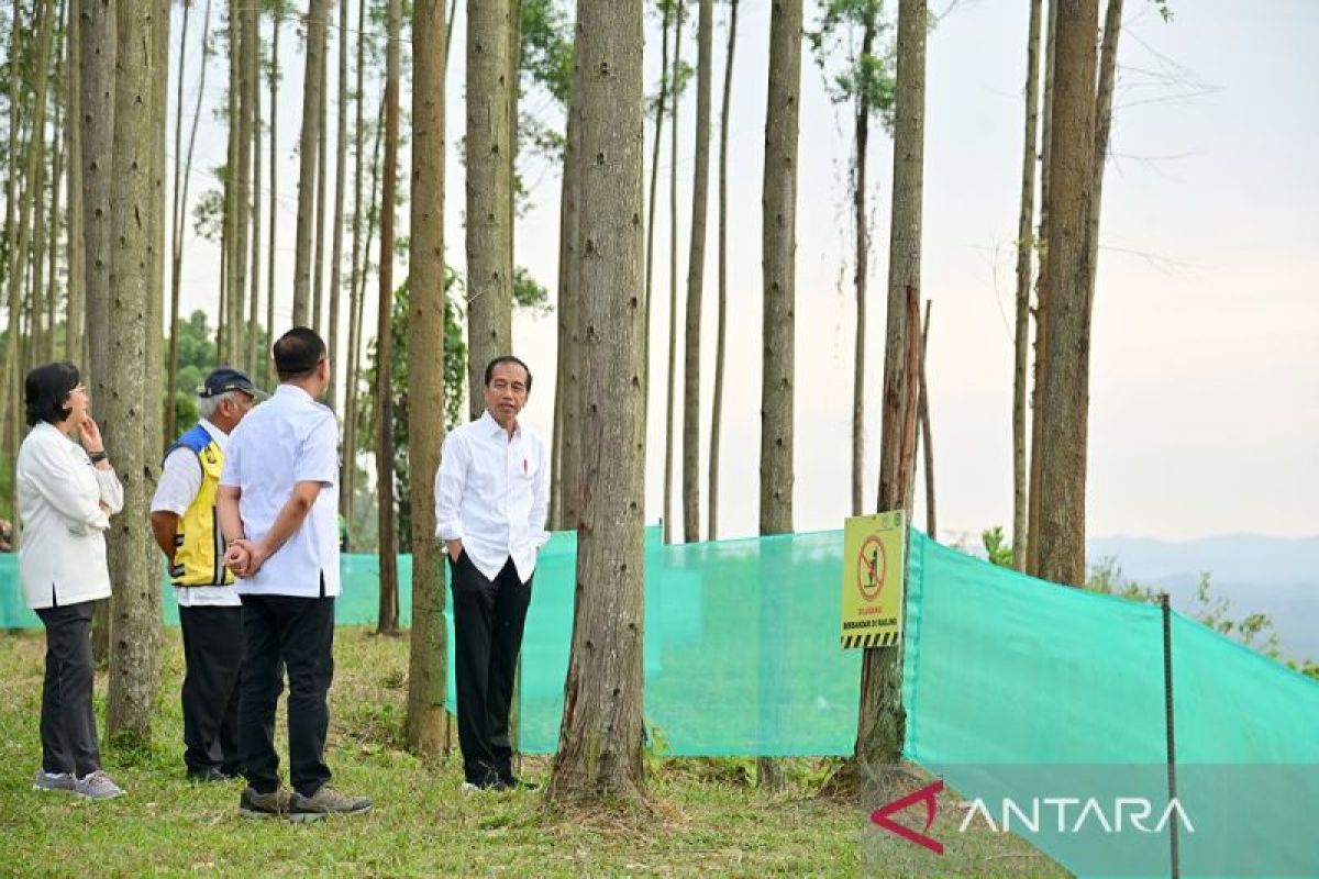 Jokowi ajak para menteri nikmati pemandangan udara pagi di IKN