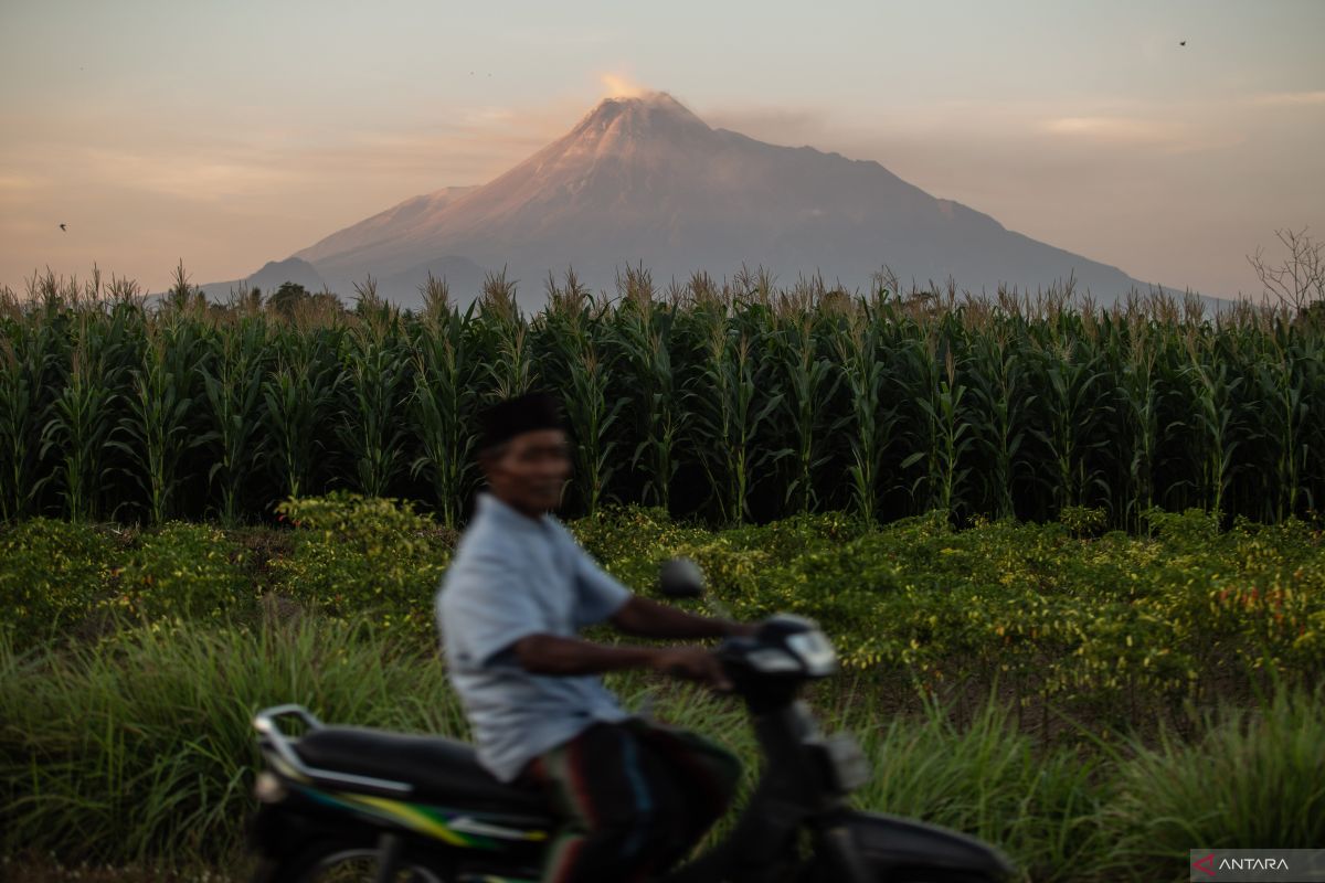 BPPTKG: Gunung Merapi luncurkan guguran lava sejauh 1,8 kilometer
