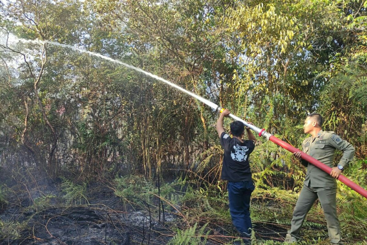 254 titik panas terpantau di tujuh kabupaten di Kalimantan Timur