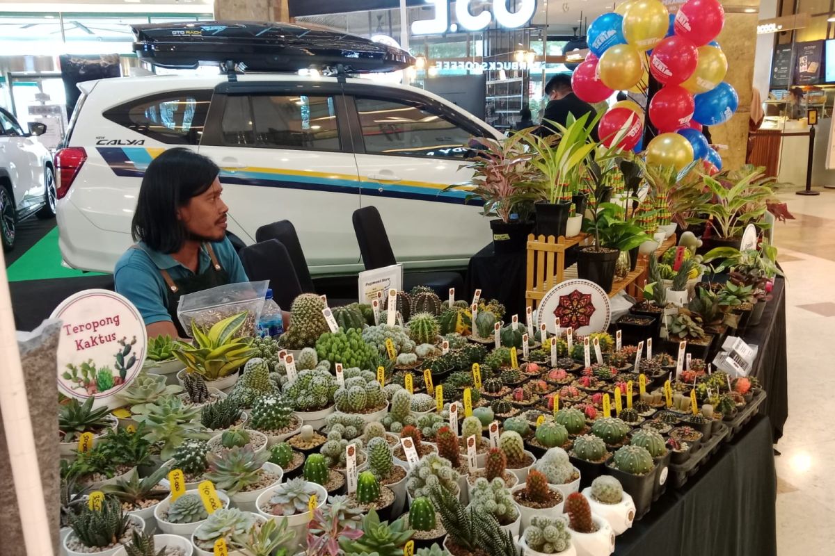 Komunitas Riau Plantastic pameran tanaman unik di Mal SKA Pekanbaru
