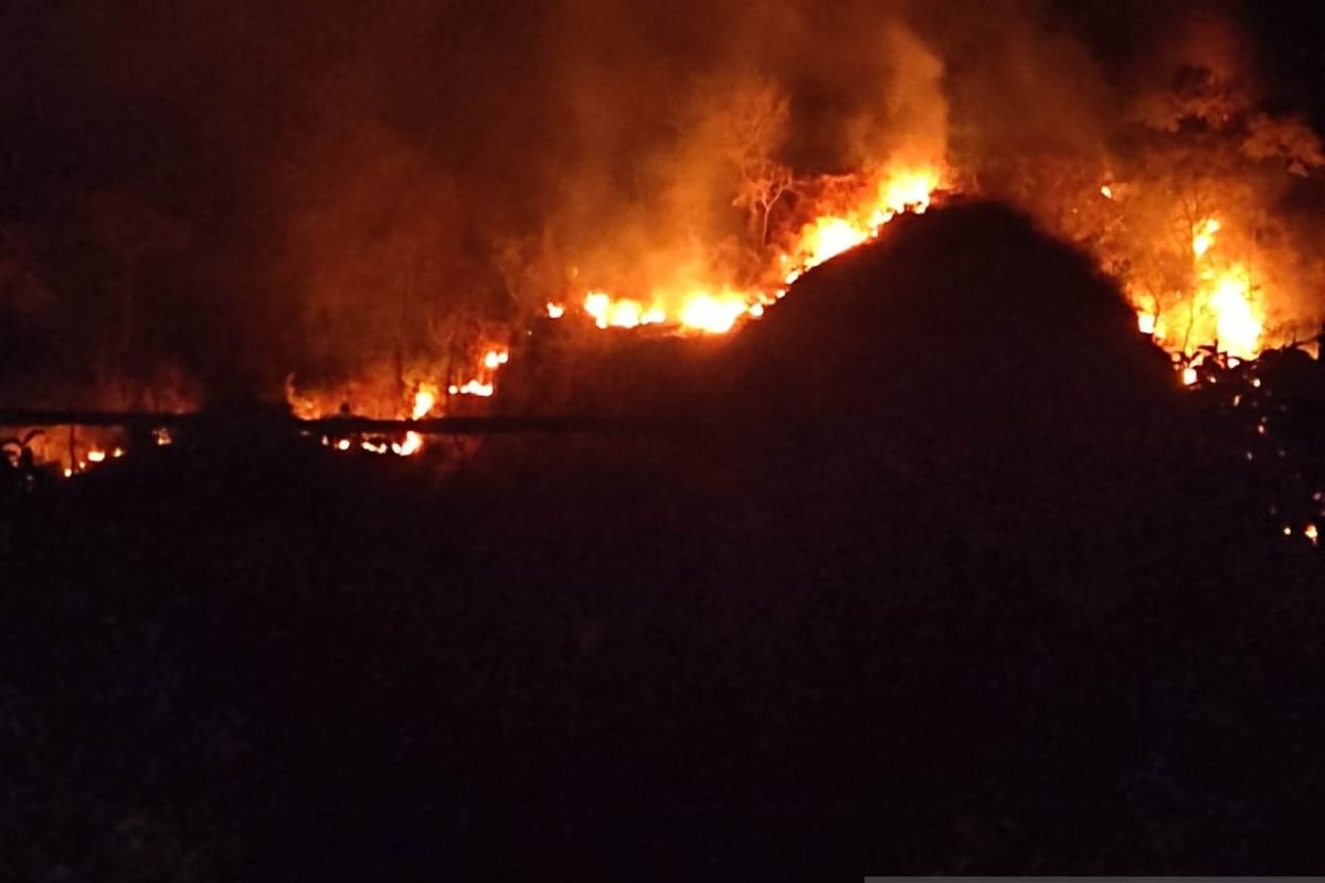 Api membesar, kebakaran Gunung Jayati di Palabuhanratu kian meluas