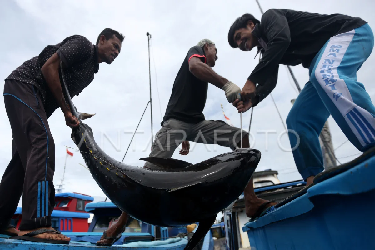 Aceh ekspor 200 ton hasil perikanan hingga September 2023, begini penjelasannya