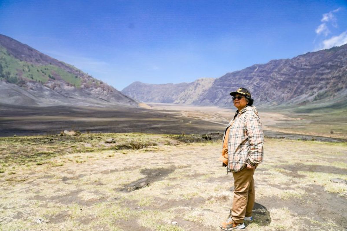 Pembakar hutan Gunung Bromo diganjar hukuman dua tahun enam bulan