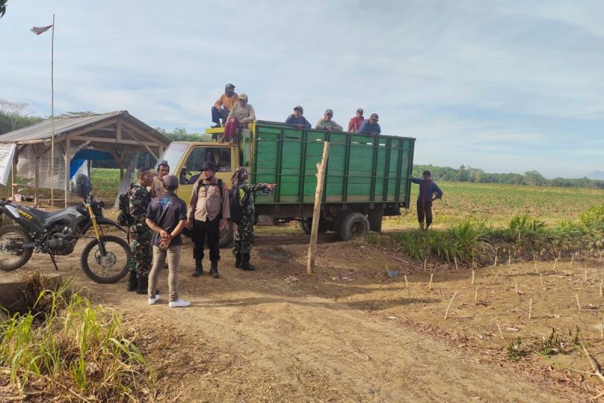 Polres Lampung Tengah sebut tujuh warga dipulangkan usai diperiksa