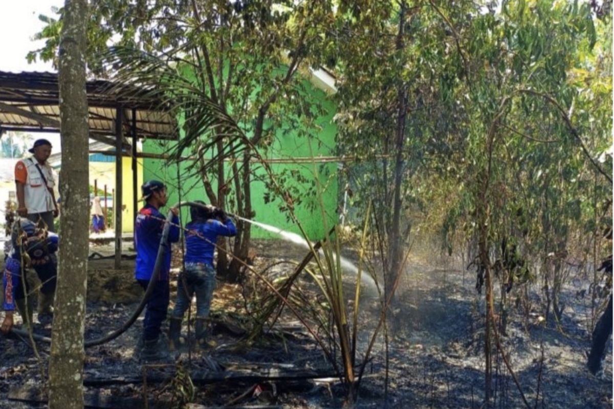 BPBD Tapin Kalsel selamatkan bangunan SD Negeri dari karhutla pada Sabtu siang